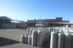 ����Y�Ɓ@�{��